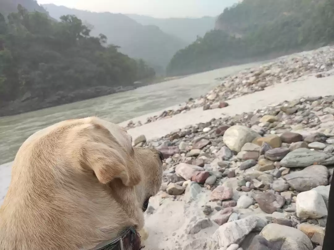 Photo of Rishikesh after lock