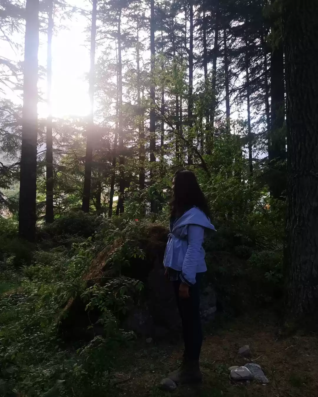 Photo of Jayshree Sharma