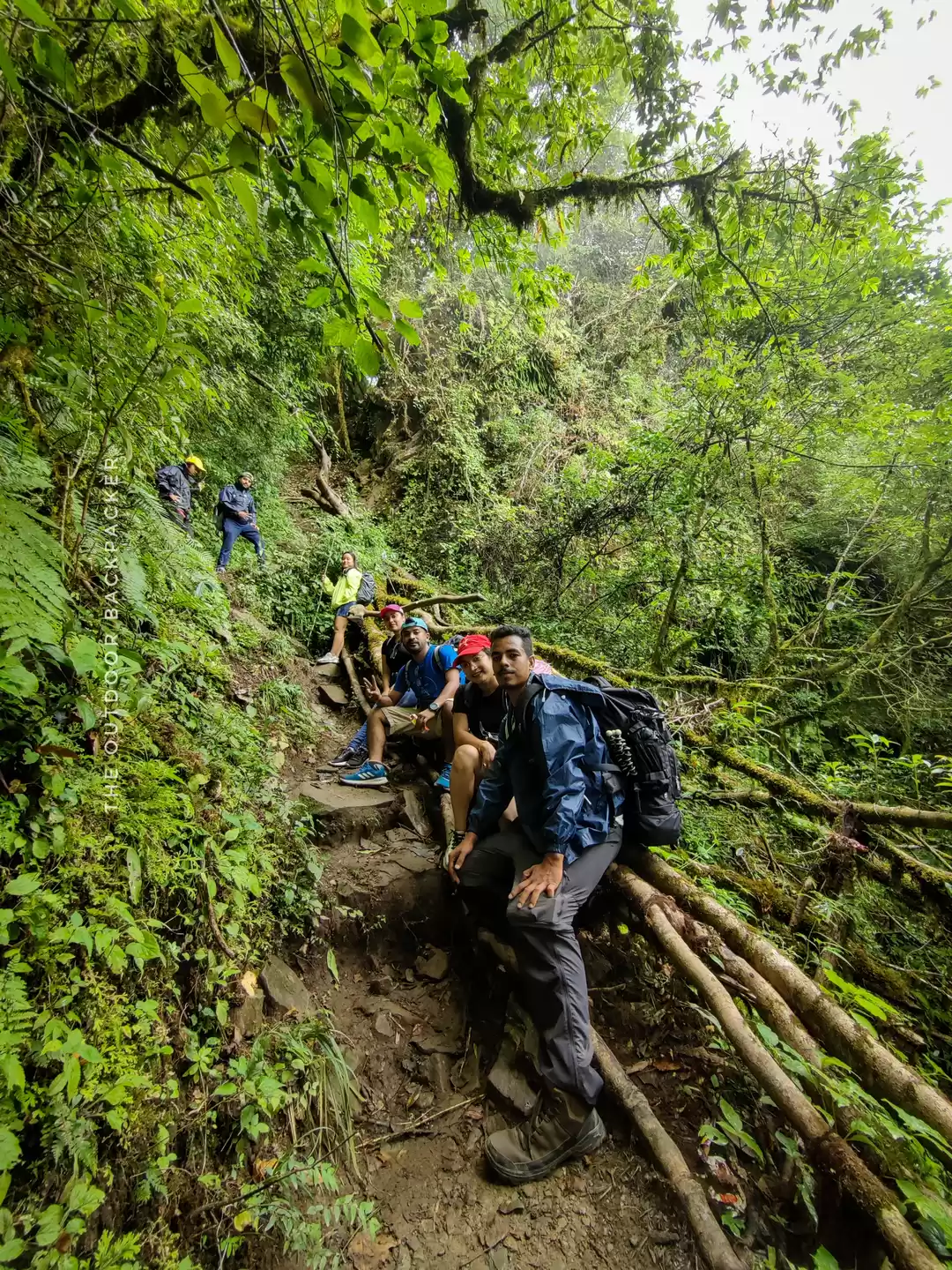 Photo of Dzukou Valley Trek :