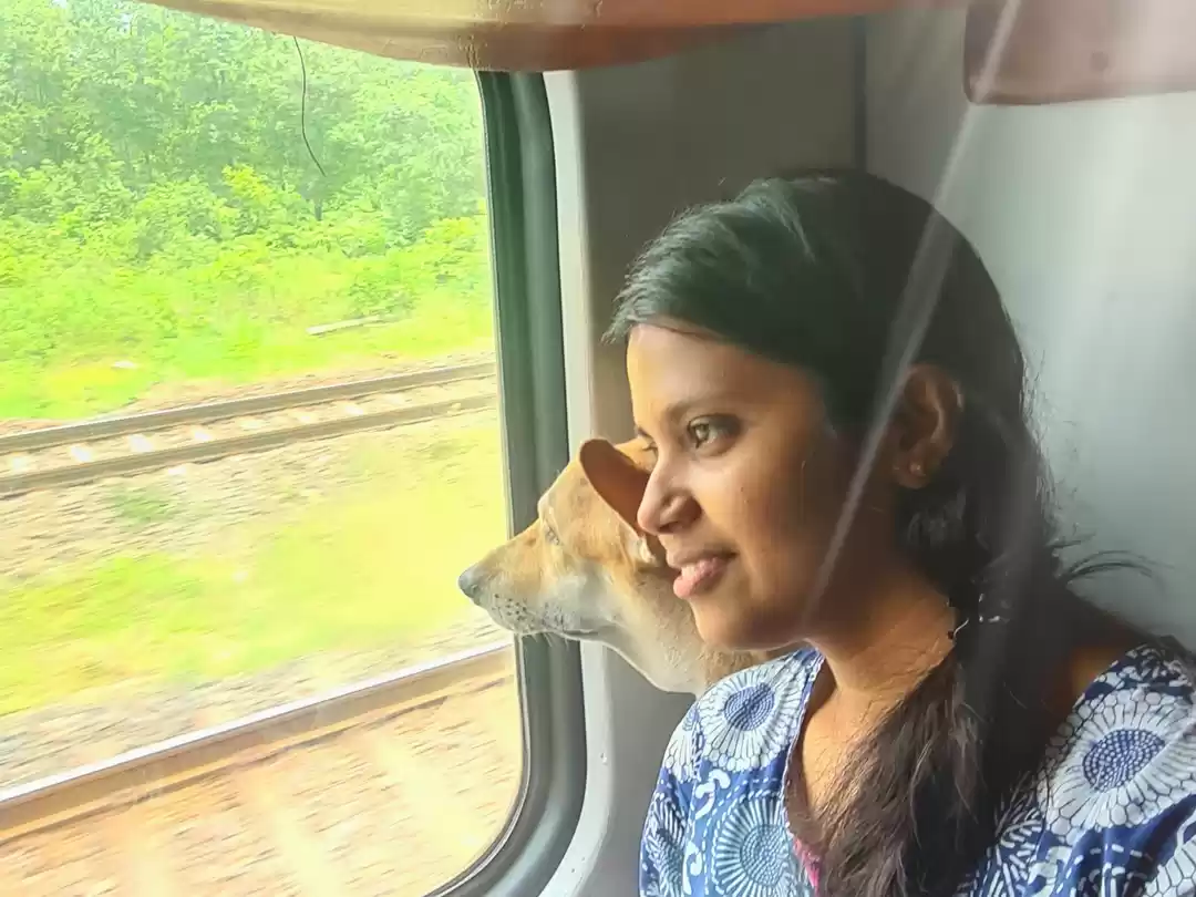 Photo of পোষ্যকে সঙ্গে নিয়েও 