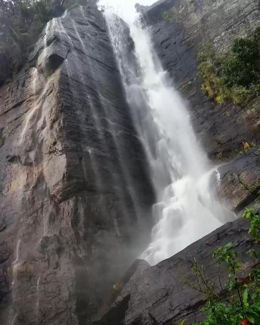 Photo of A love story in the 