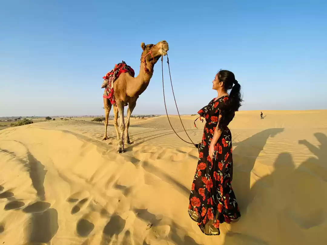 Photo of Blue + Gold = Lots o