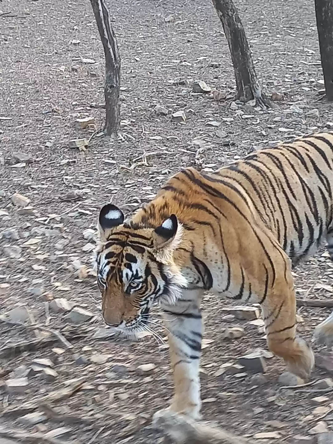 Photo of Encounter with Riddh