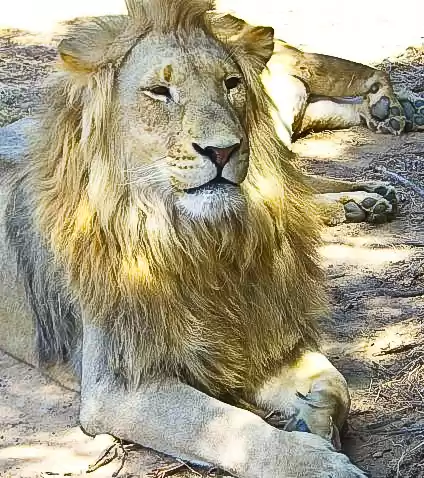 Photo of Around the World in 