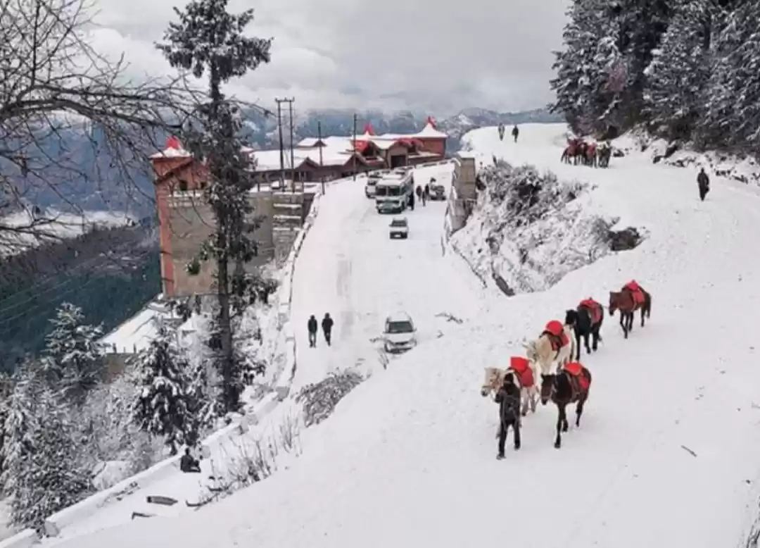 Photo of Queen of hill statio