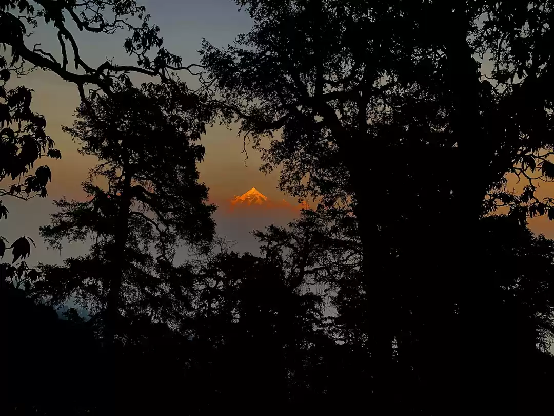 Photo of Ranikhet - Munsyari 