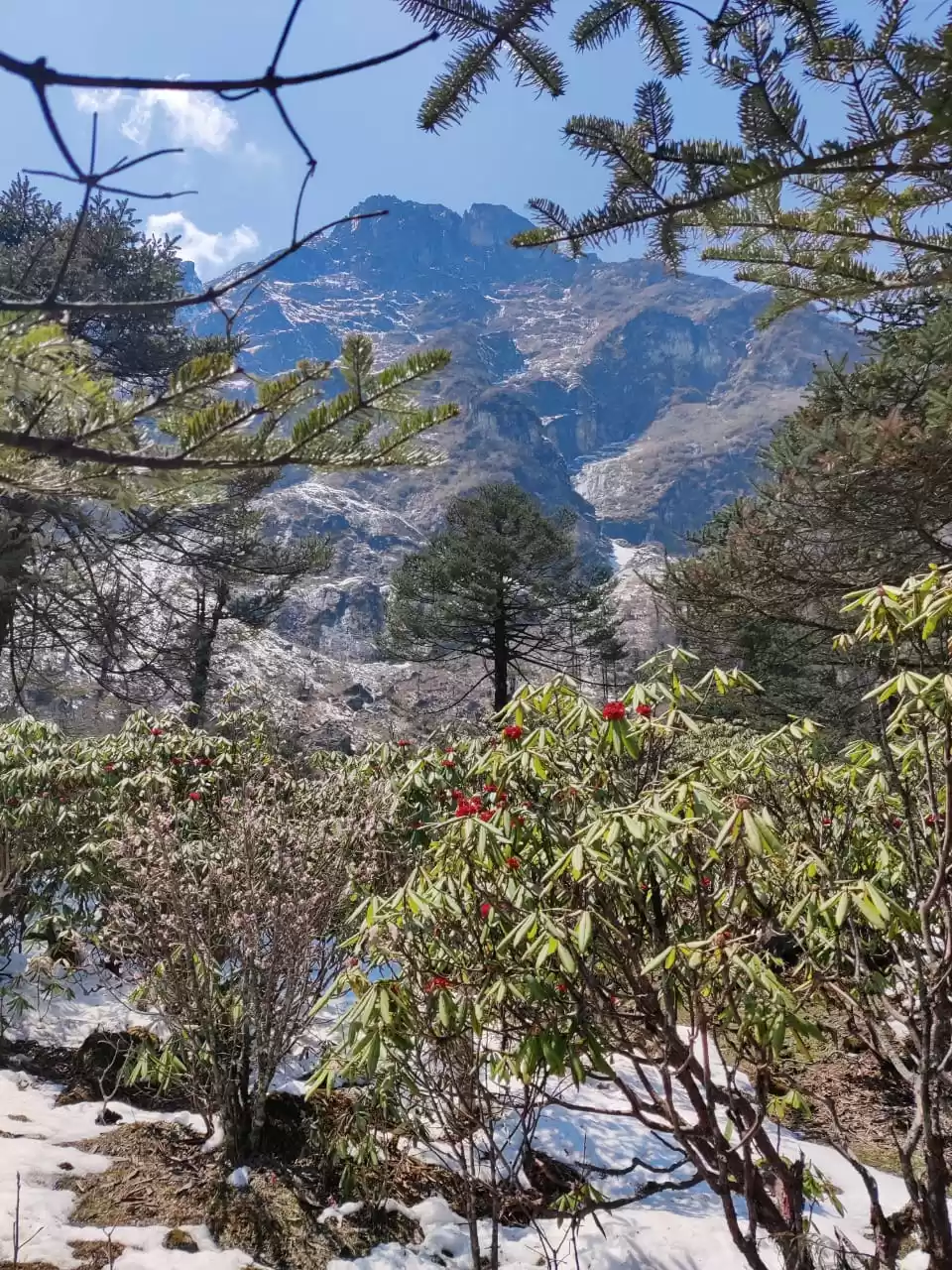 Photo of Sikkim- Where Nature