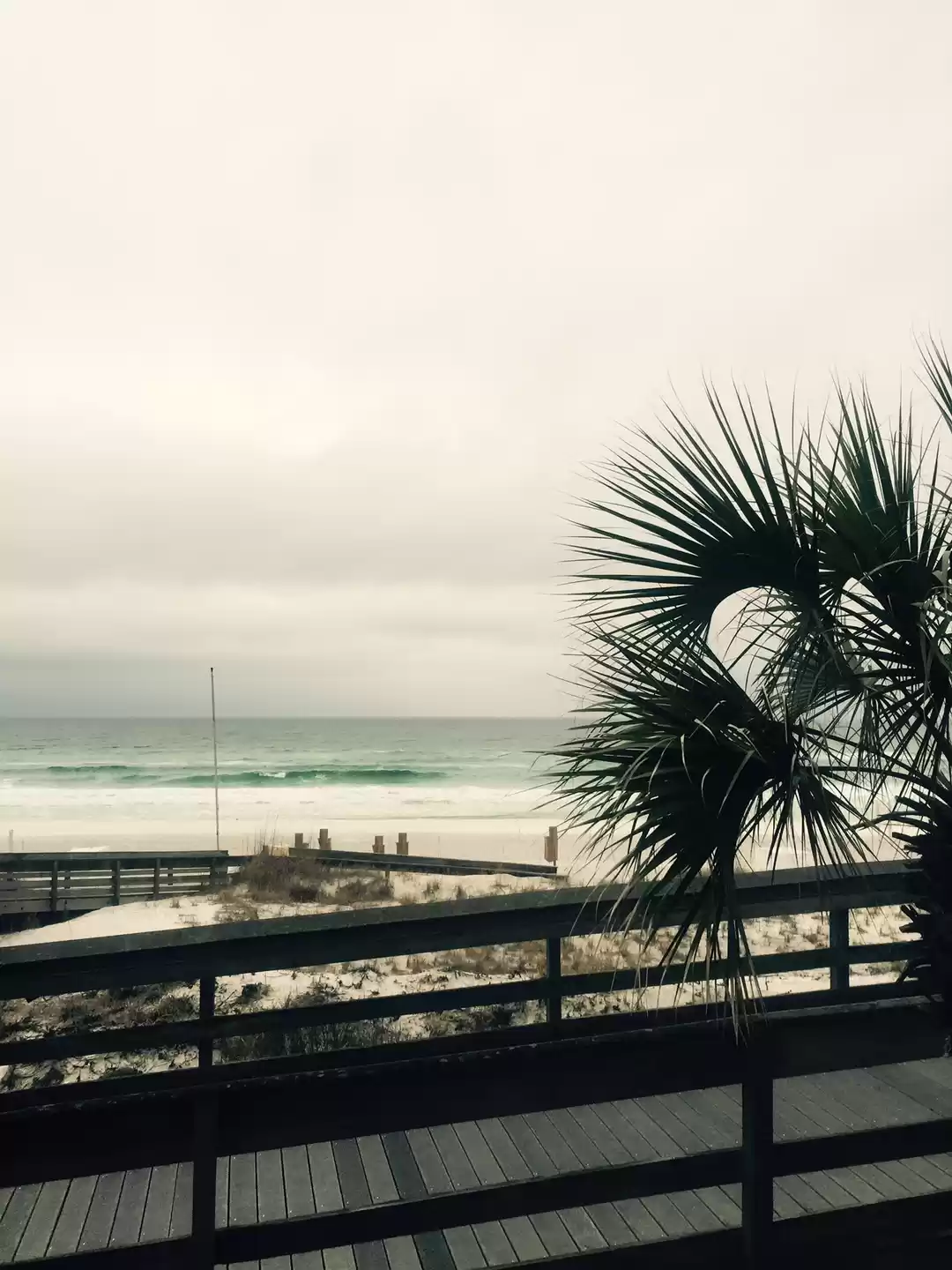 Photo of Weekend in Destin, F