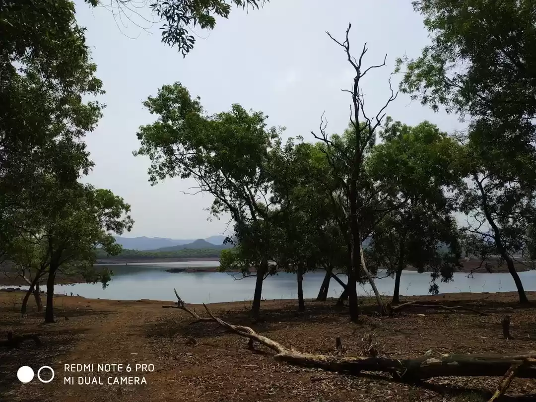 Photo of Curdi: The Submerged