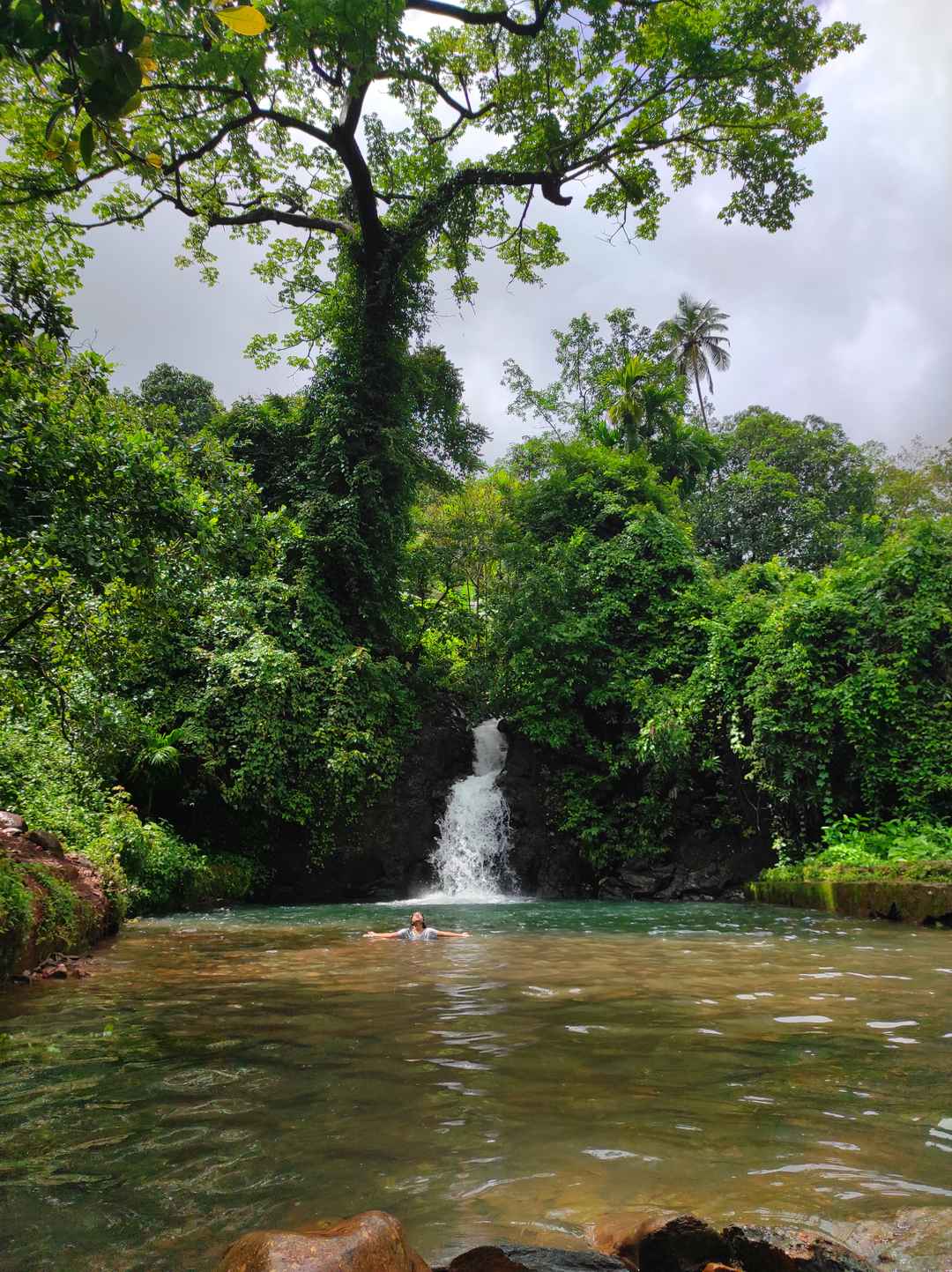 Bhupar waterfall, Gaodongrem Goa - Tripoto