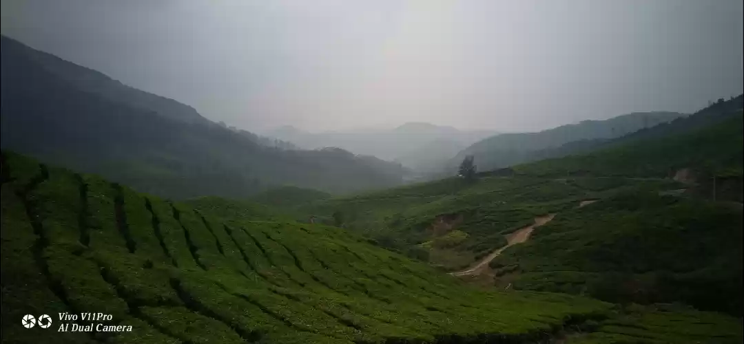 Photo of These are Kerala and