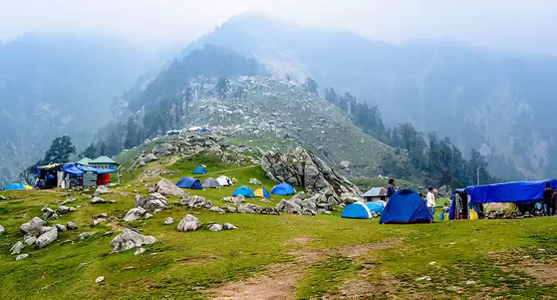 Photo of Trihund Trek