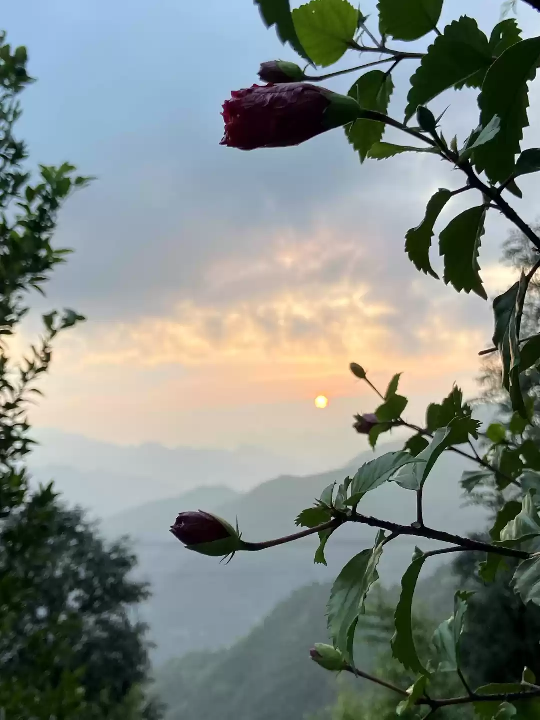 Photo of This Unknown - Ghand