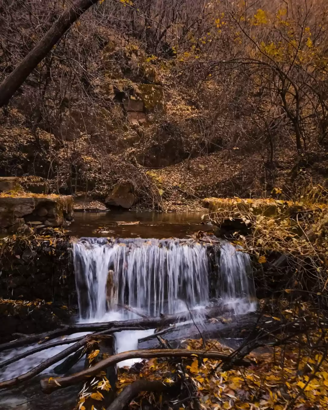 Photo of Dachigam national pa