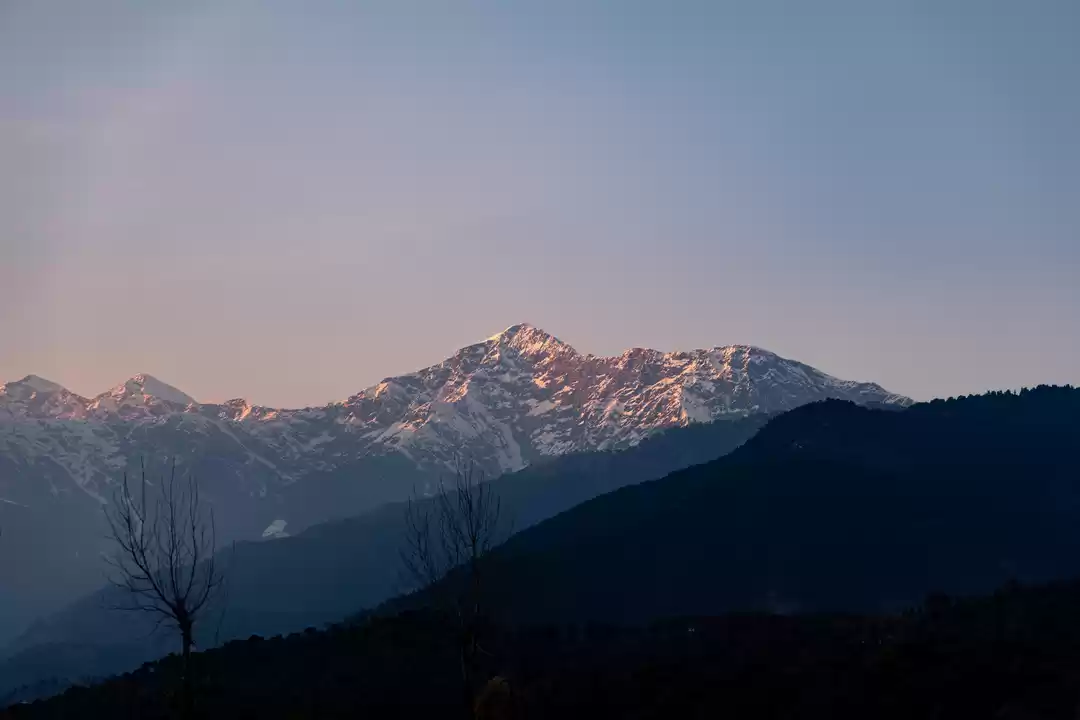 Photo of I Went on a Mindful 