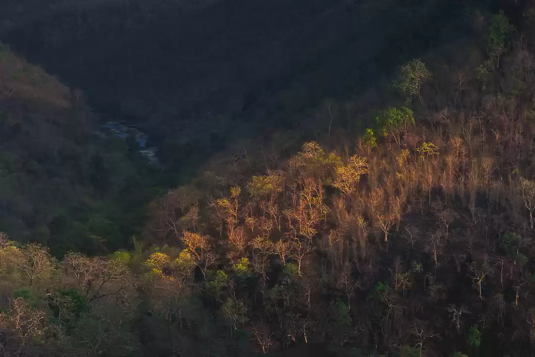 Photo of Mohadi Falls , Indor