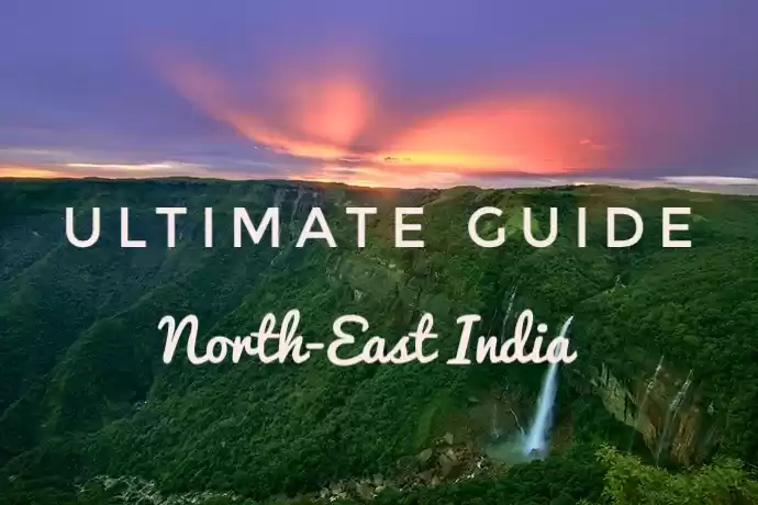 Photo of Reasons Why You Need