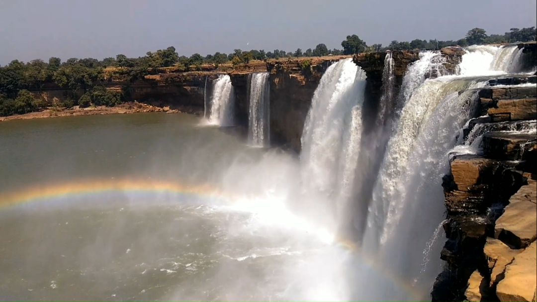 Photo of TWO-FACED CHHATTISGA