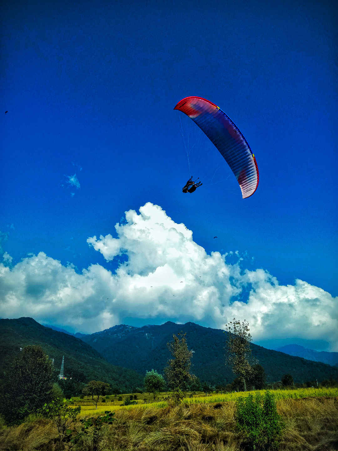 Bir Billing Himachal Pradesh: Exploring the Paragliding Capital of India