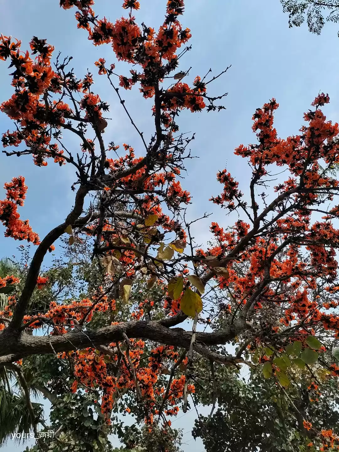 Photo of Mesmerizing Purulia