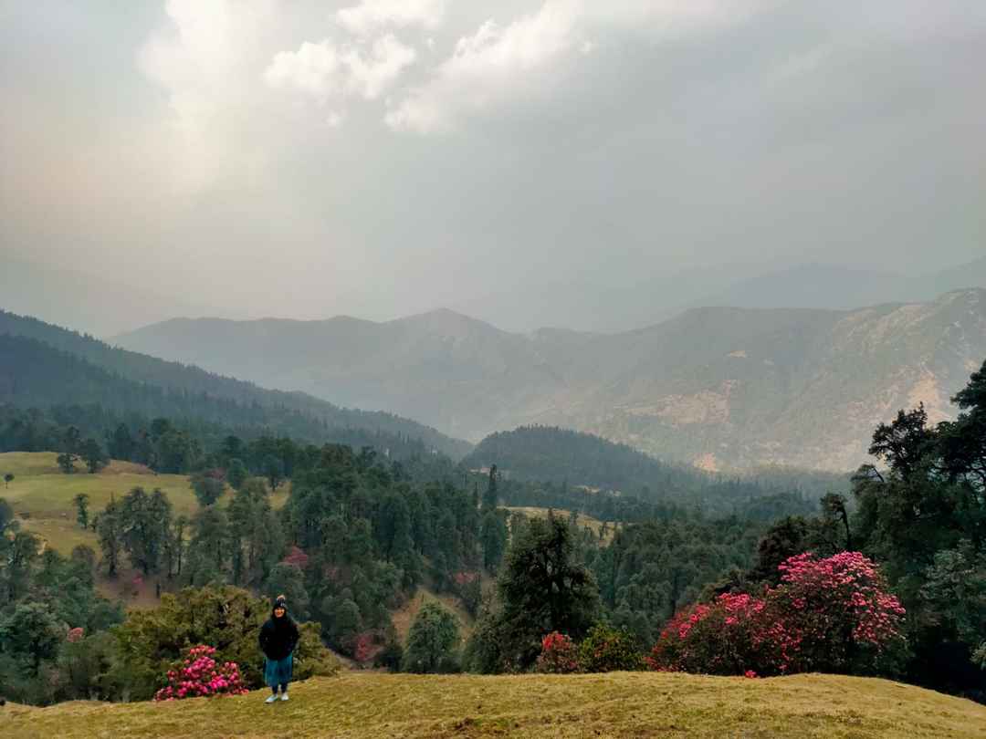 chandrashila summit trek