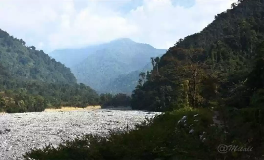 Photo of Roing Calling you.