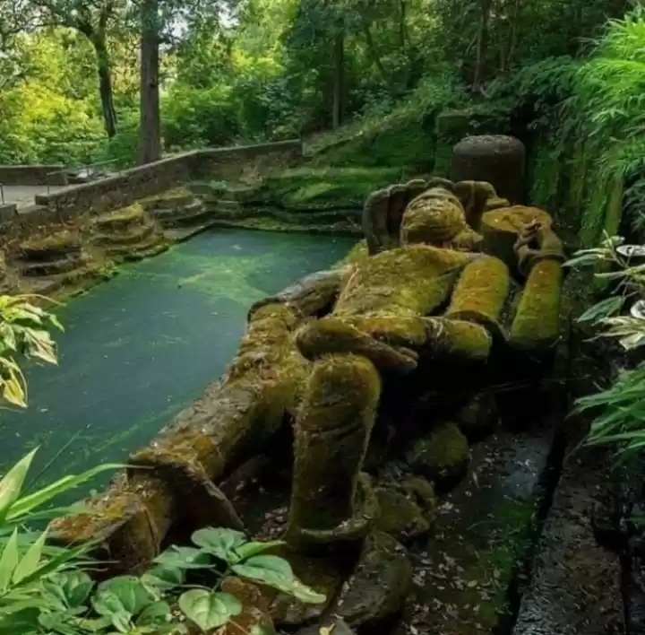 Photo of Bandhavgarh National