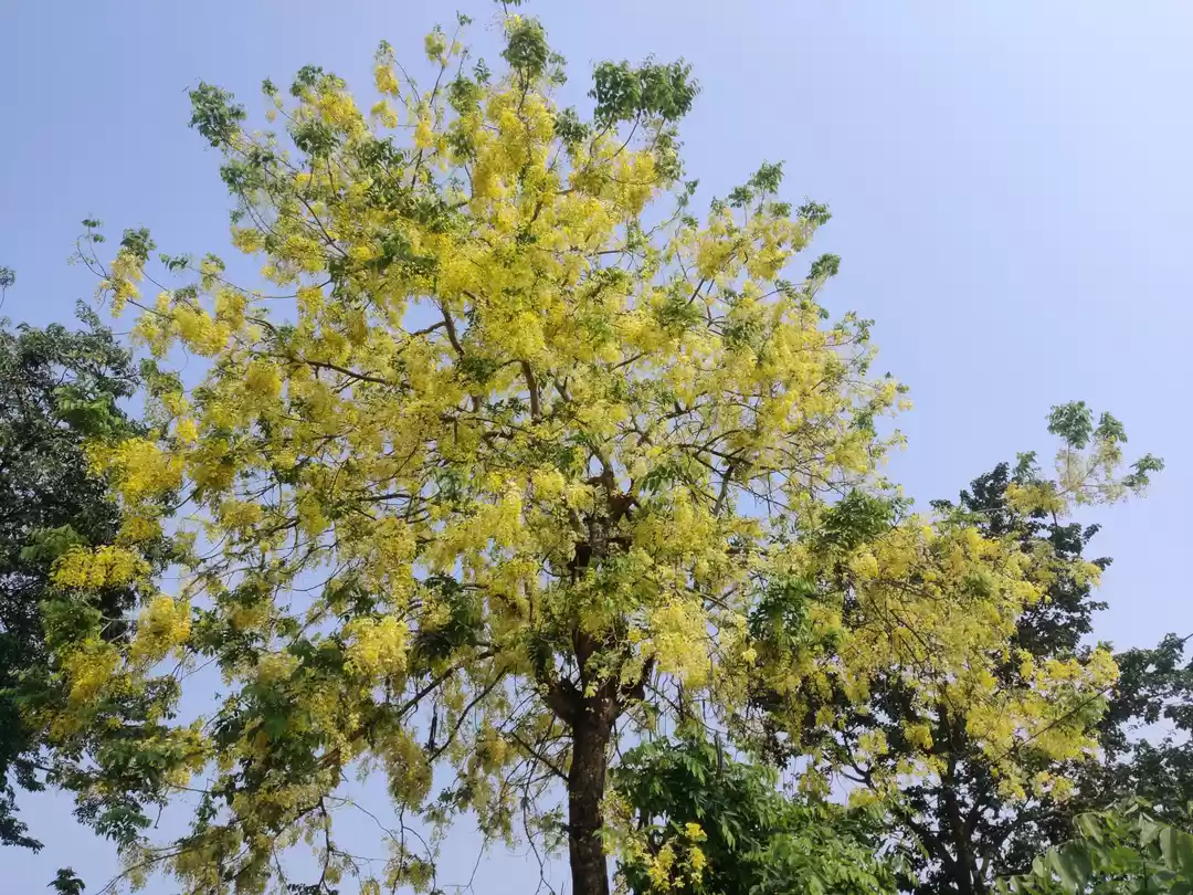 Photo of A traveller's respon