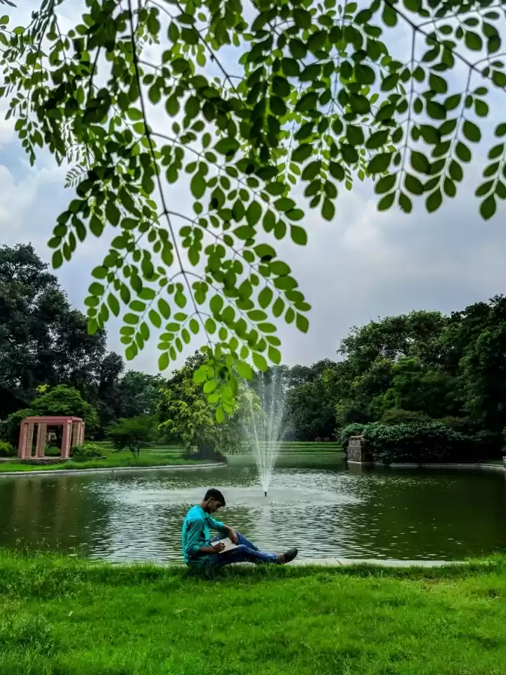 Photo of SUNDER NURSERY- DELH