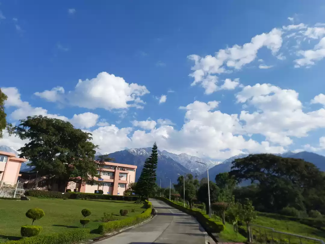 Photo of Solo traveling to La