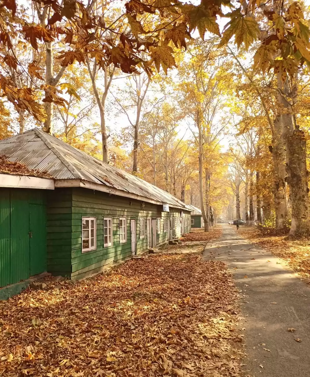 Photo of Seasons in Kashmir