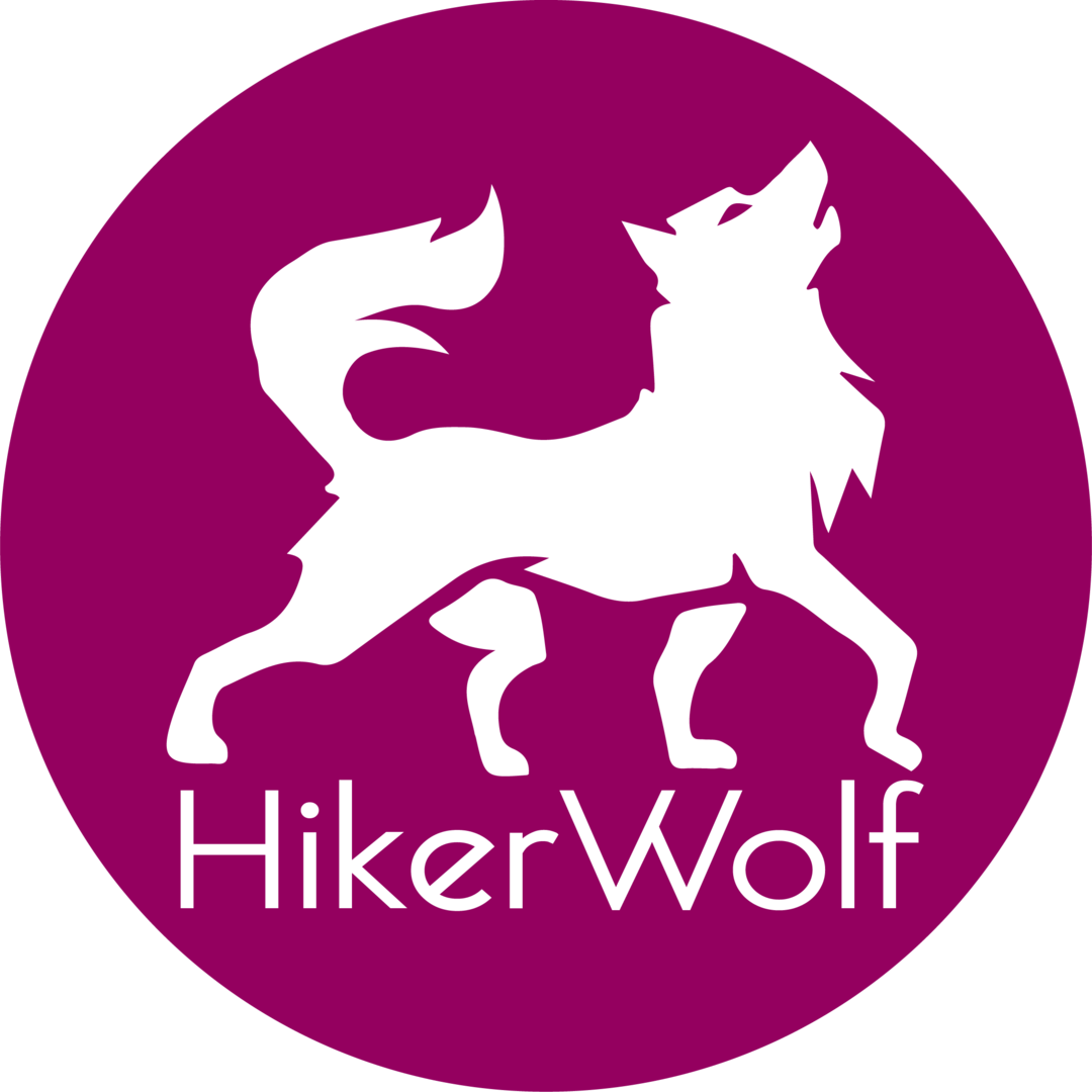 Photo of hiker wolf