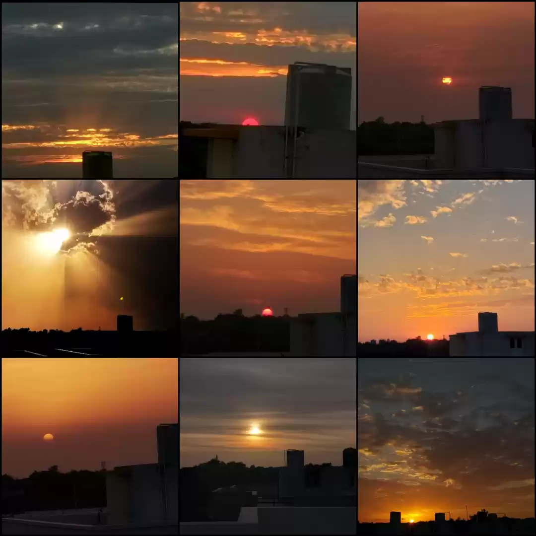 Photo of Shades of happiness 