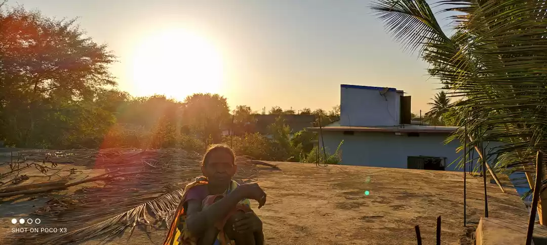 Photo of Rural life and beaut