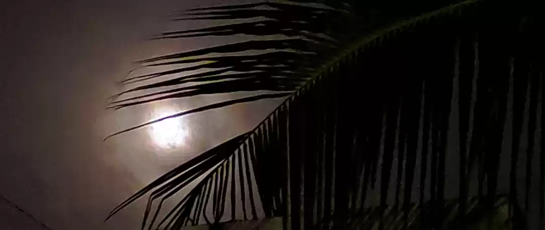 Photo of Full moon night 