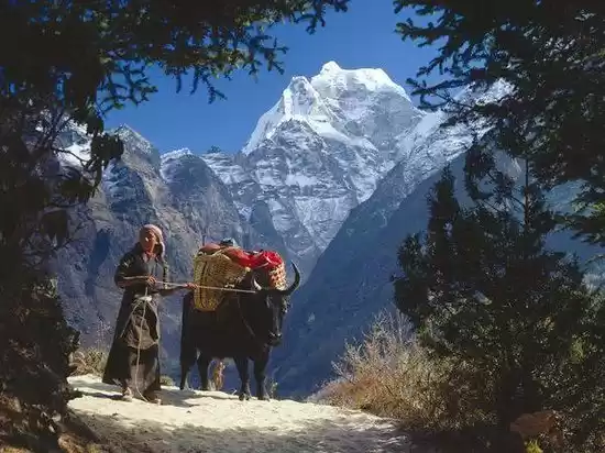Photo of Trekking In Nepal