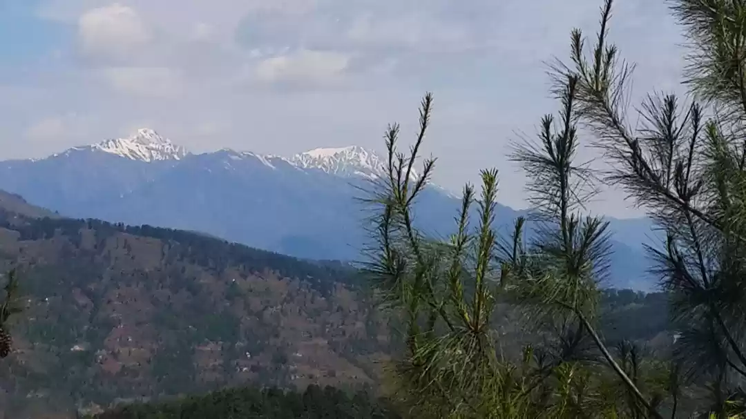 Photo of पटनीटाॅप (Patnitop j