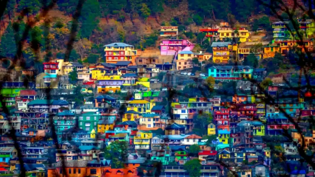 Photo of हनीमून हो या फॅमिली 