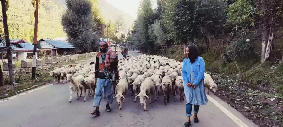 Photo of पहलगाम ,जिधर नज़र जाए