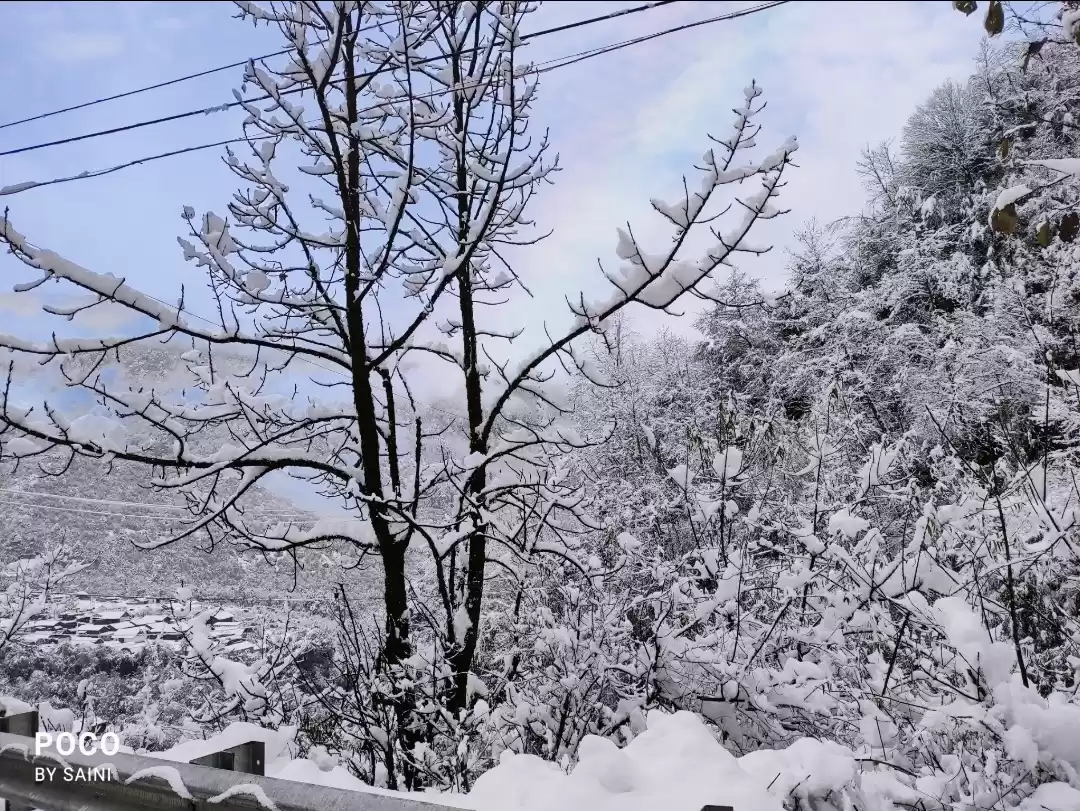 Photo of Snow cladded Lachung