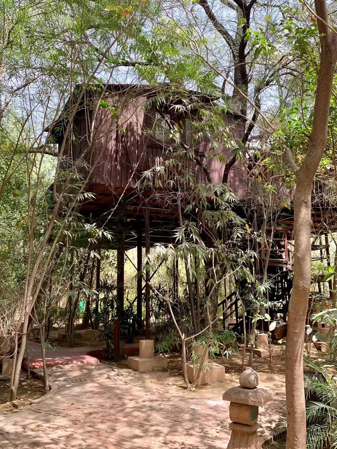 Photo of Stay In A Tree House