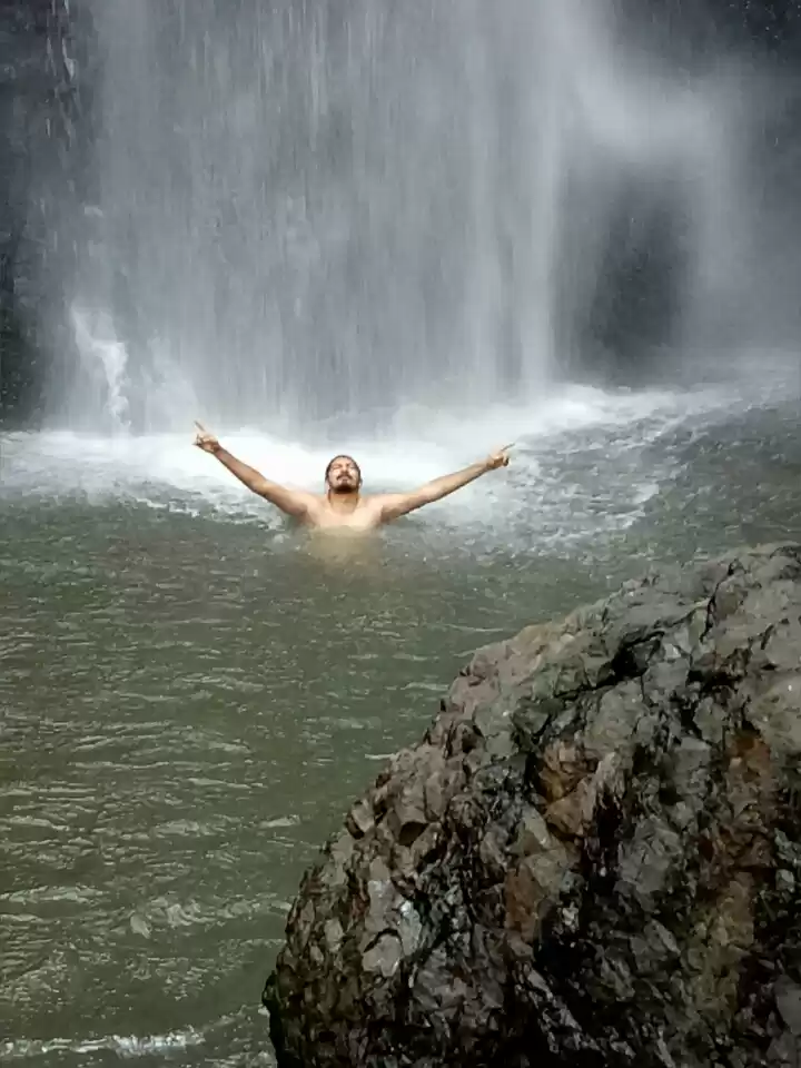 Photo of A long jungle trip a