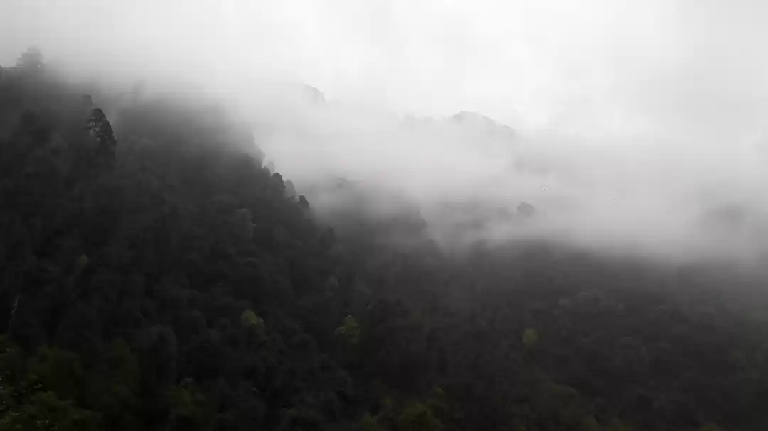 Photo of Magical State Of Nor