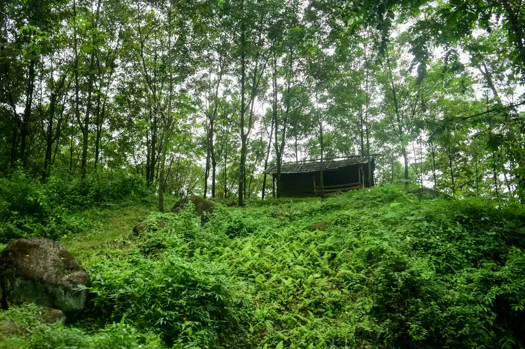 Photo of Dare to stay there?