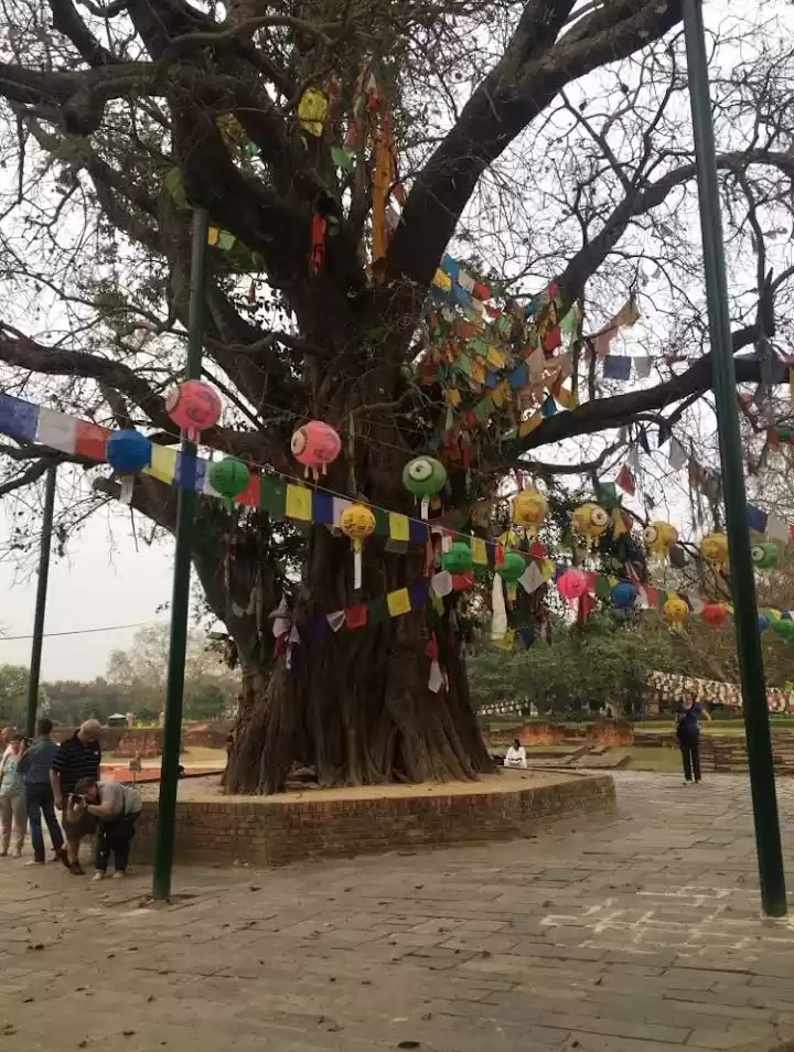 Photo of Lumbini