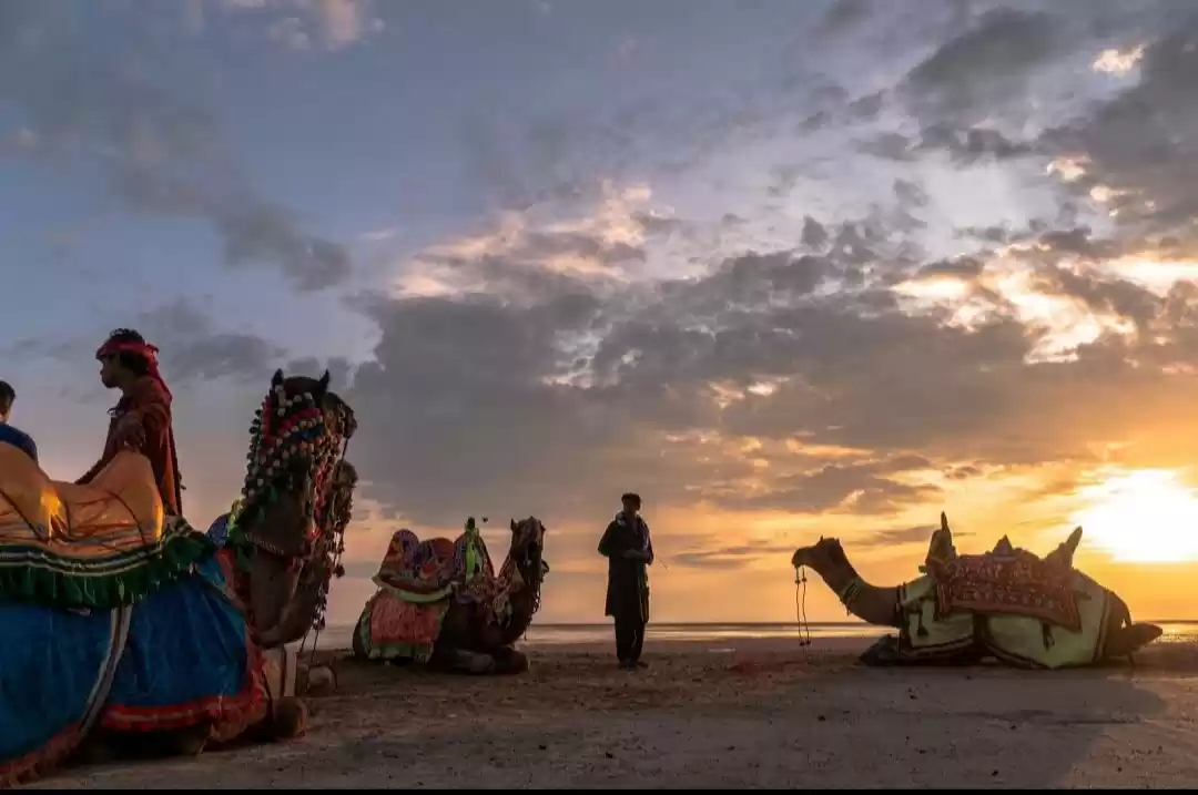 Photo of रन ऑफ कच्छ: दुनिया क