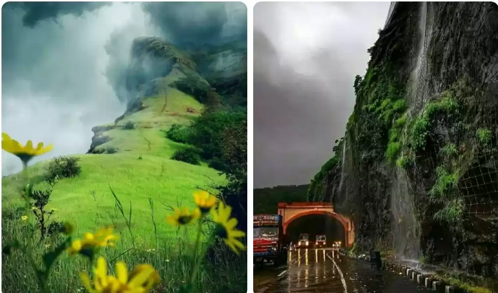 Photo of अगर मानसून का भरपूर