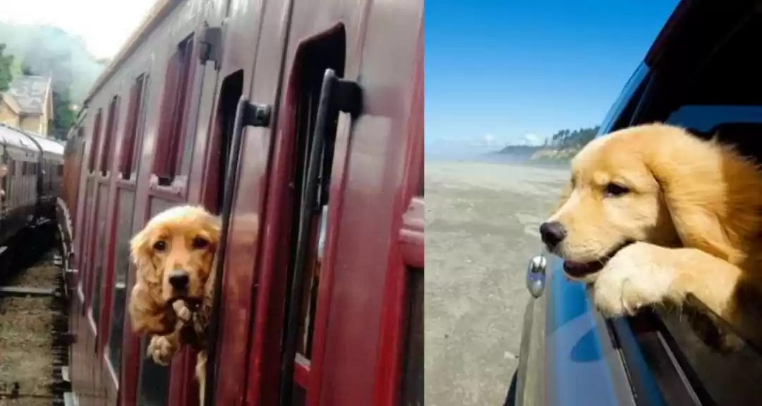 Photo of भारतीय ट्रेनों में अ