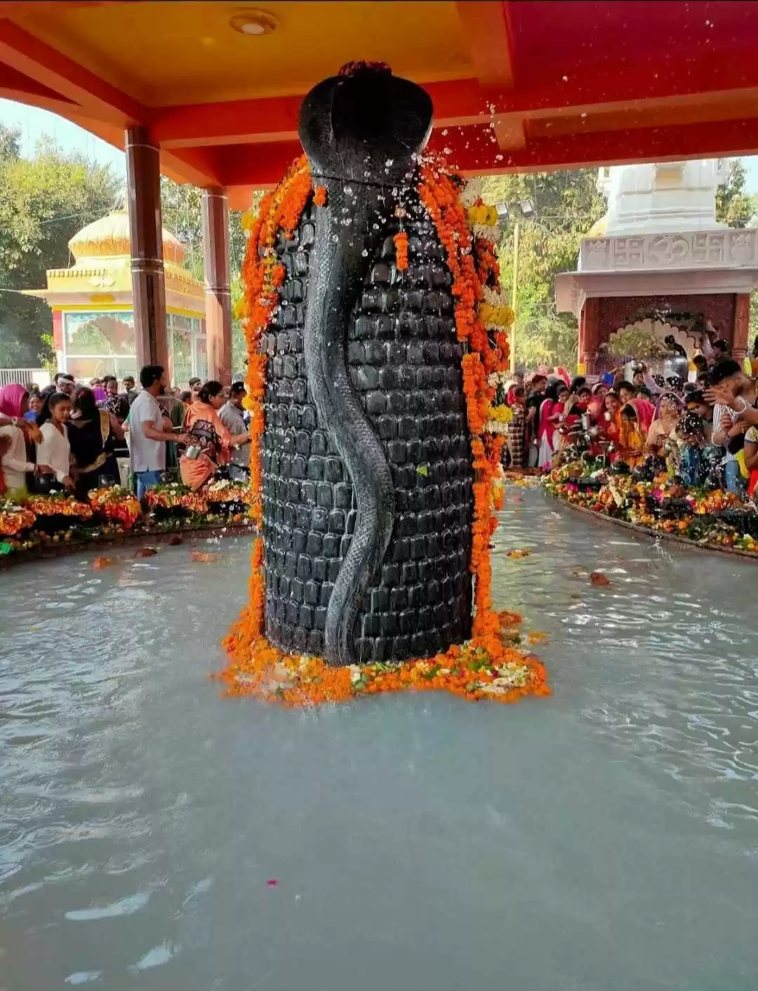 Photo of यह शिवलिंग 11 फीट ऊं