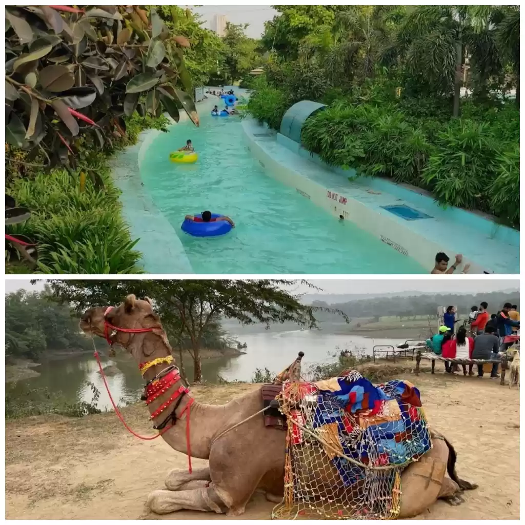 Photo of दिल्ली में कपल्स के 